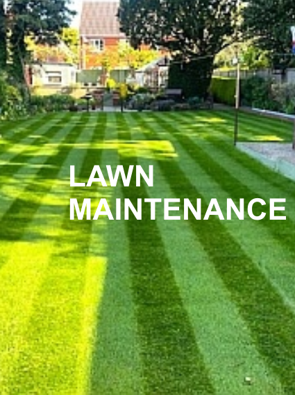 LAWN MAINTENANCE
